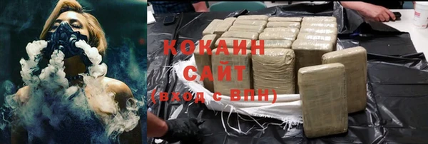 ГАЛЛЮЦИНОГЕННЫЕ ГРИБЫ Богданович