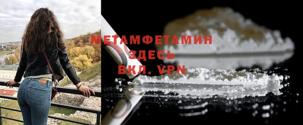 гидра Богородицк