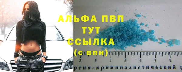 ГАЛЛЮЦИНОГЕННЫЕ ГРИБЫ Богданович