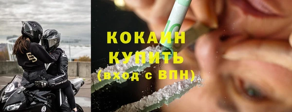 гидра Богородицк