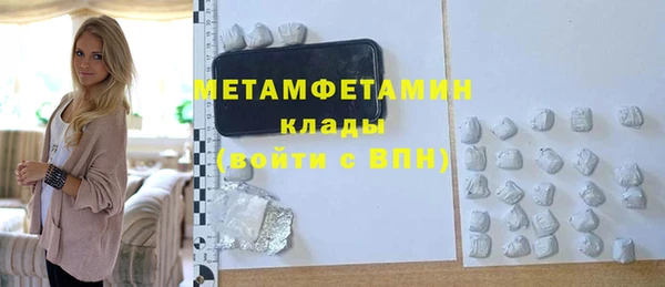 гидра Богородицк