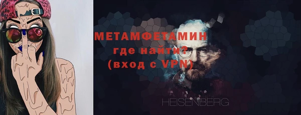 гидра Богородицк
