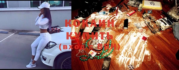 ГАЛЛЮЦИНОГЕННЫЕ ГРИБЫ Богданович