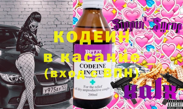 ГАЛЛЮЦИНОГЕННЫЕ ГРИБЫ Богданович
