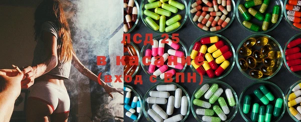 ГАЛЛЮЦИНОГЕННЫЕ ГРИБЫ Богданович