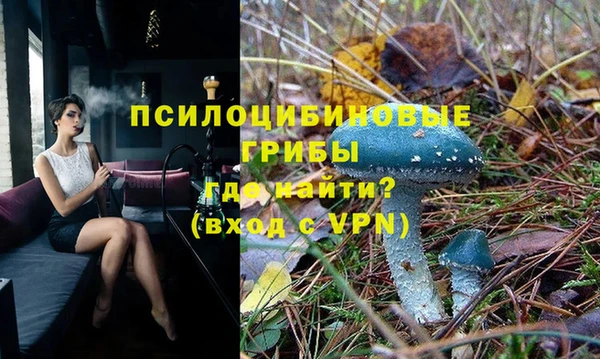 гидра Богородицк