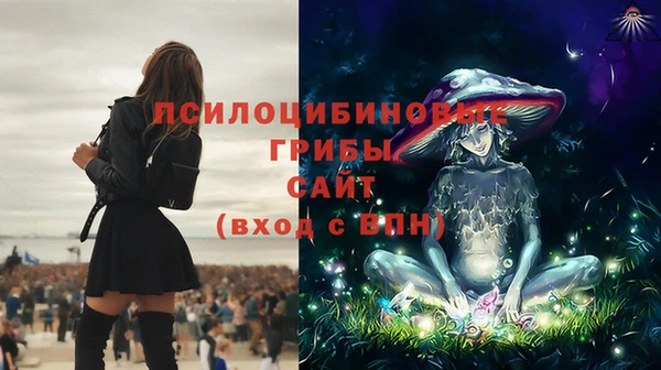 ГАЛЛЮЦИНОГЕННЫЕ ГРИБЫ Богданович