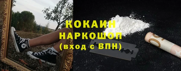 гидра Богородицк