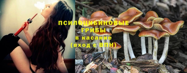 гашиш Богородск