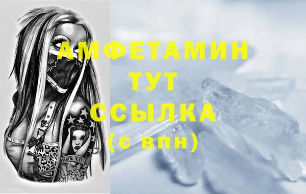 гидра Богородицк