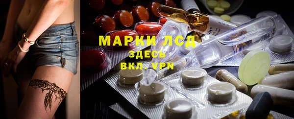 ГАЛЛЮЦИНОГЕННЫЕ ГРИБЫ Богданович