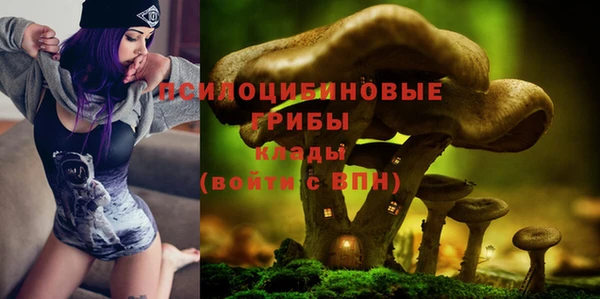 ГАЛЛЮЦИНОГЕННЫЕ ГРИБЫ Богданович