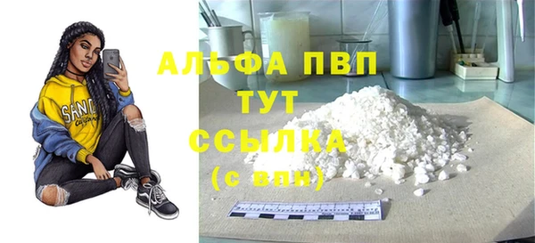 гидра Богородицк